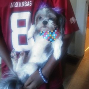 Meet your Posher, Barbara